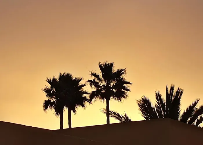 Casa Shelley Cotillo